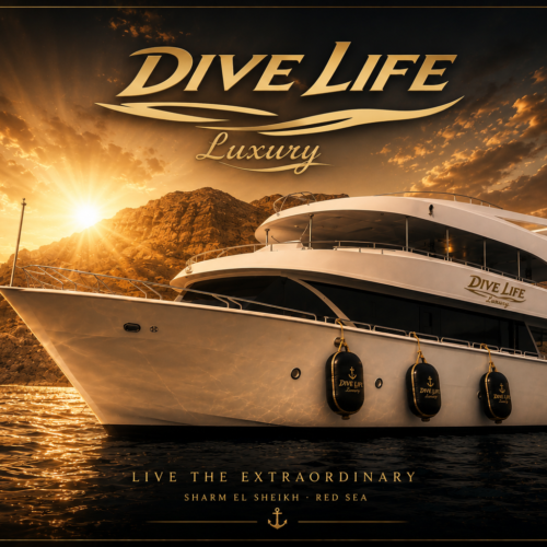 Dive Life – Ultimate  Red Sea Trip Journ